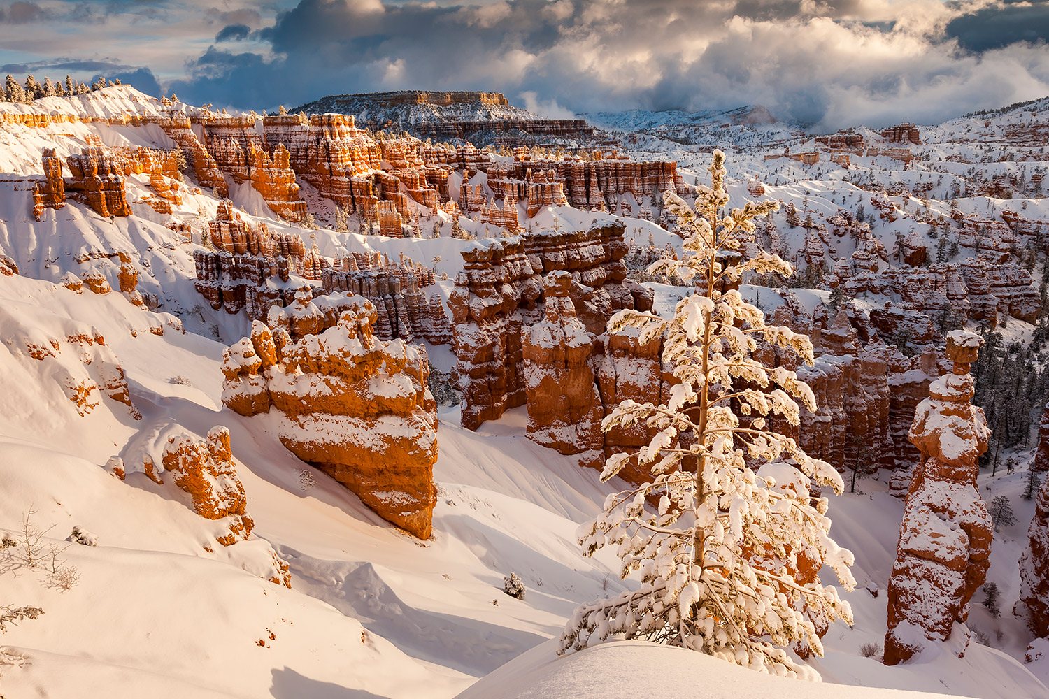 Canyon37.jpg