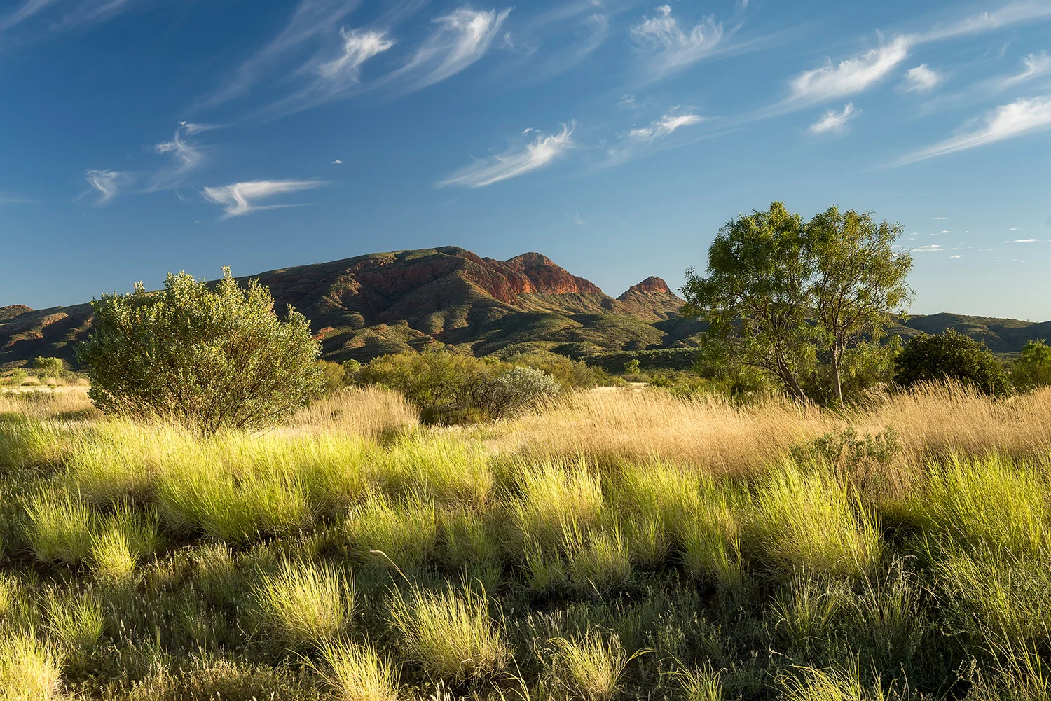 MACDONNEL RANGES - AUSTRALIA