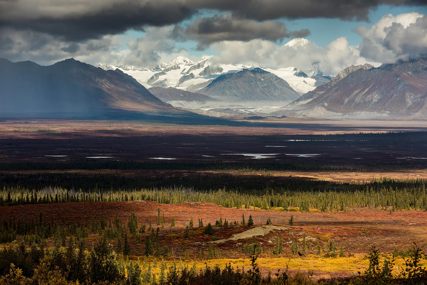 DENALI HIGHWAY - ALASKA