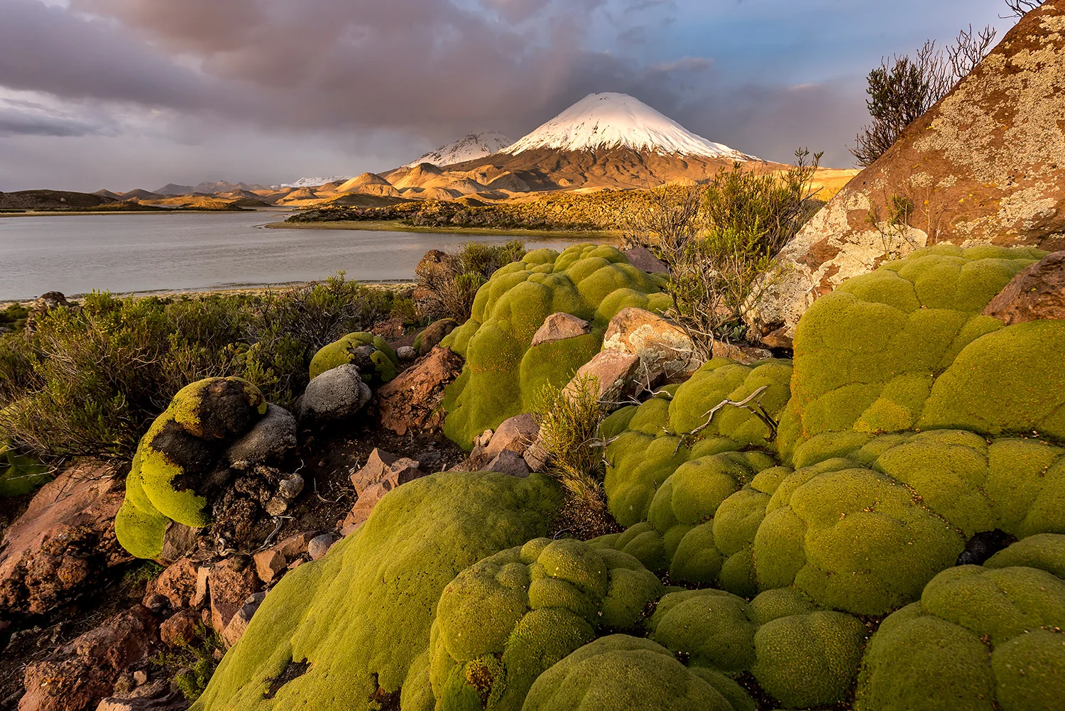 PARINACOTA - CHILE