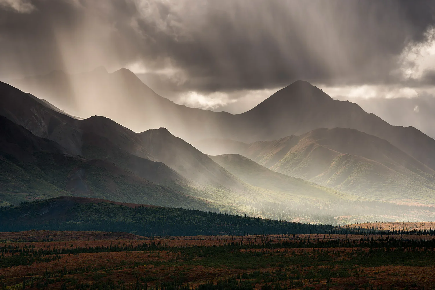 DENALI HIGHWAY - ALASKA