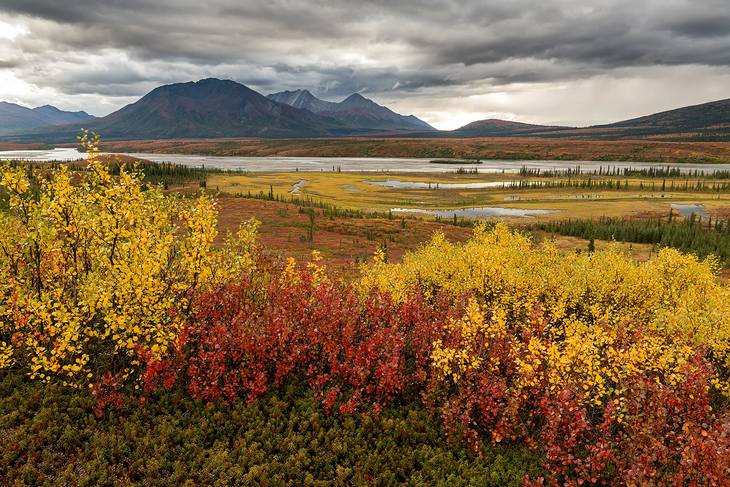 DENALI HIGHWAY - ALASKA