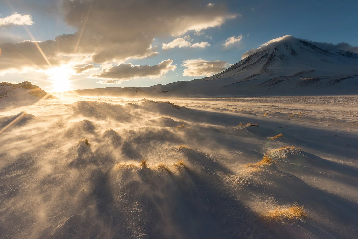 MINIQUES - CHILE