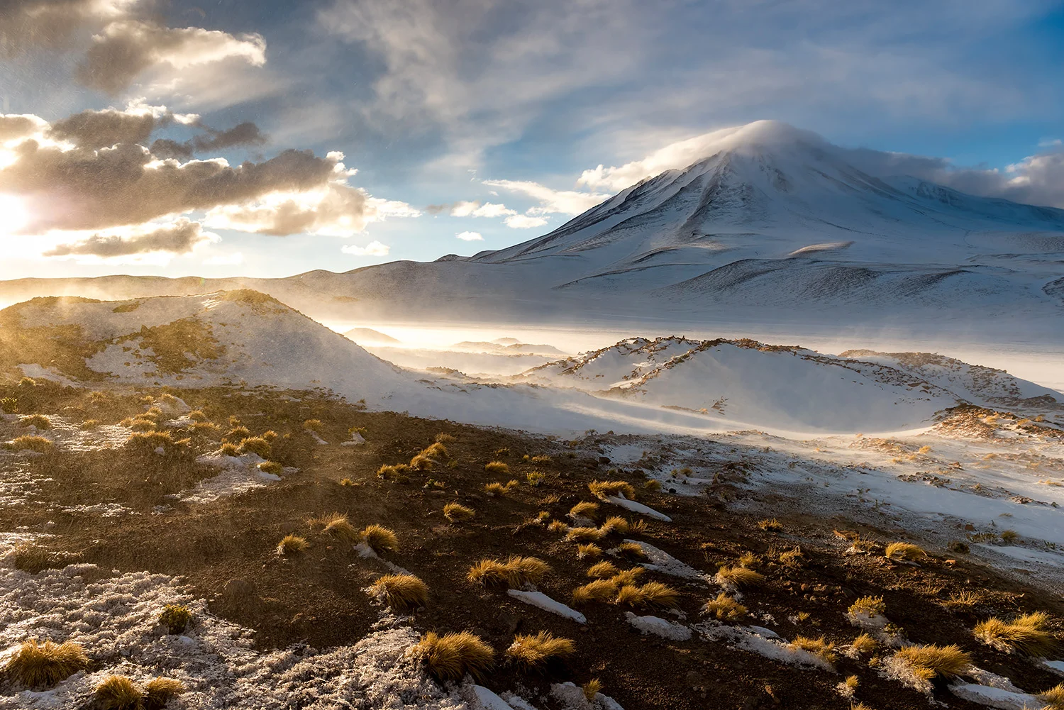 MINIQUES - CHILE