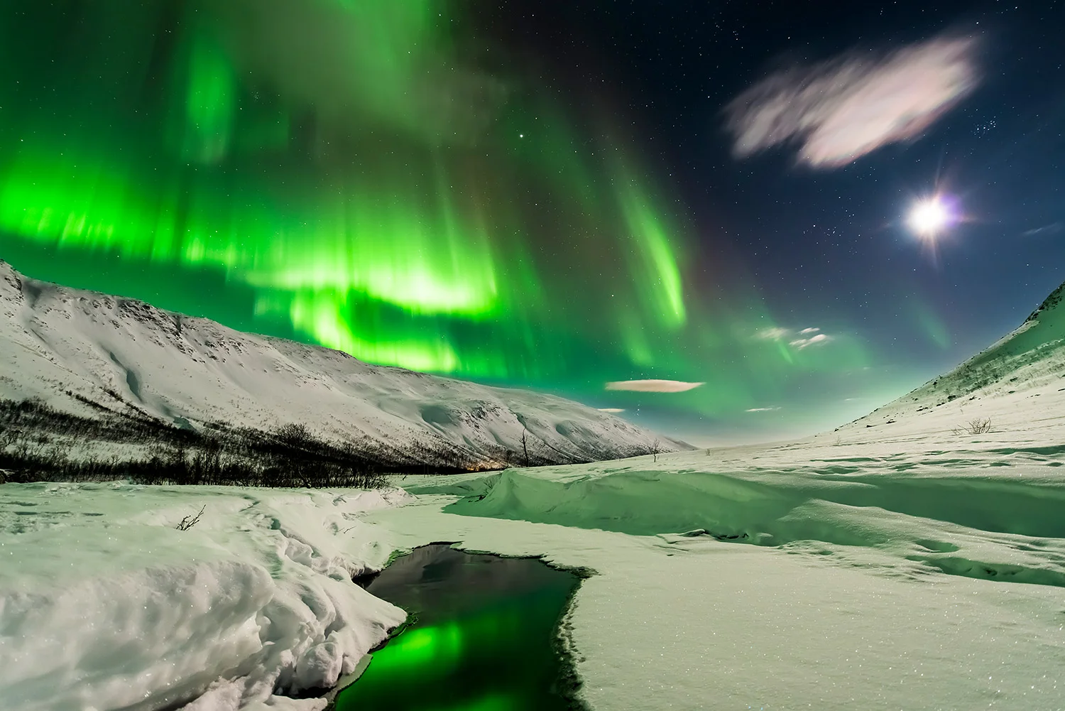 Aurora11.jpg