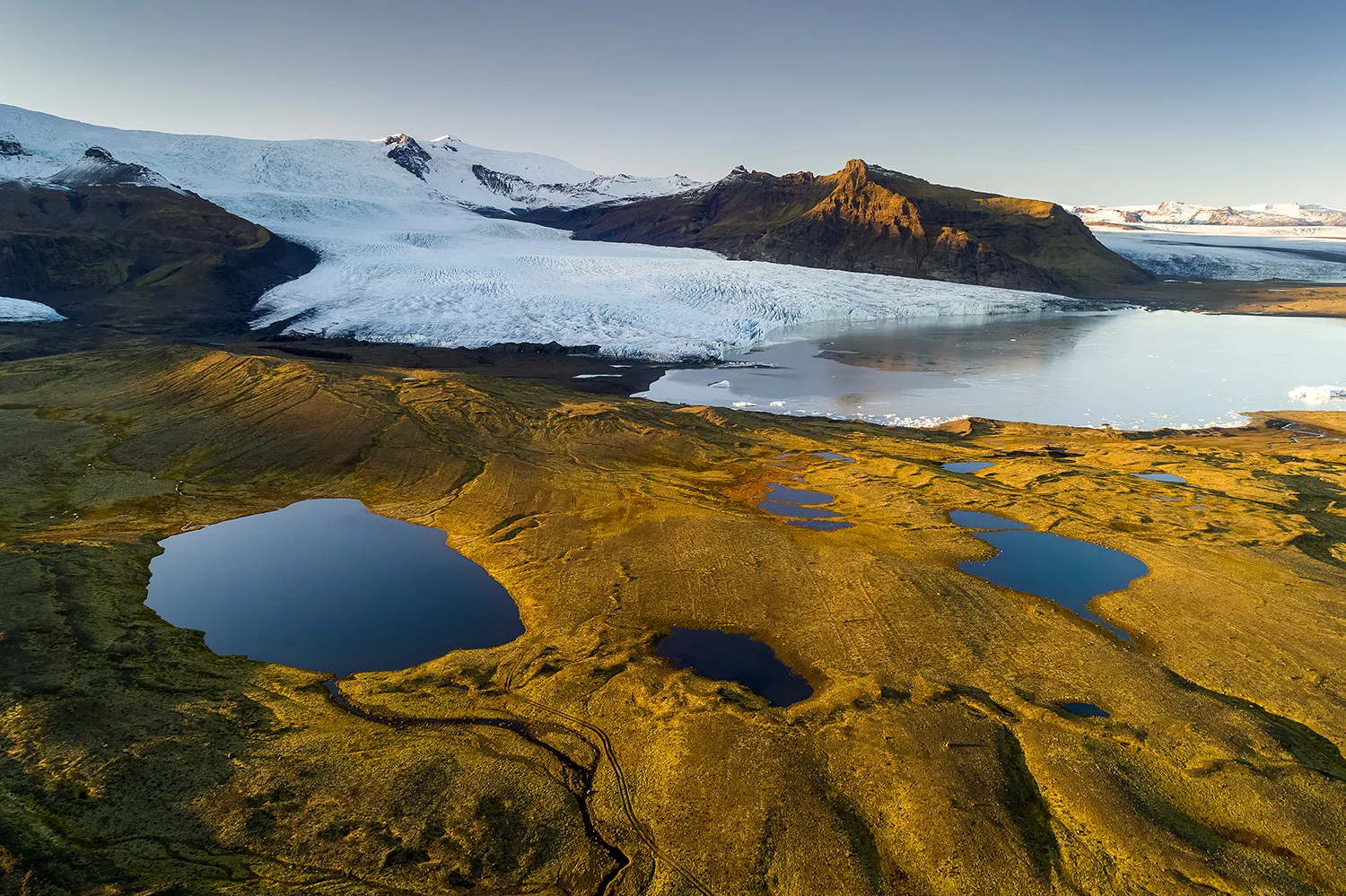 Island_Forster157.jpg