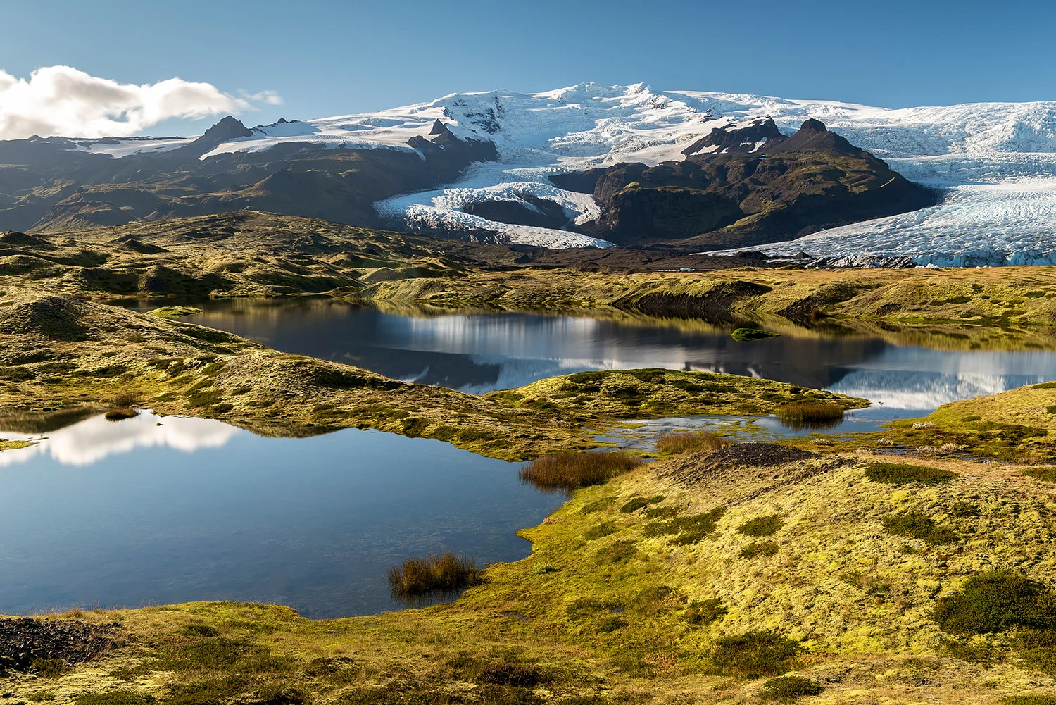 Island_Forster116.jpg
