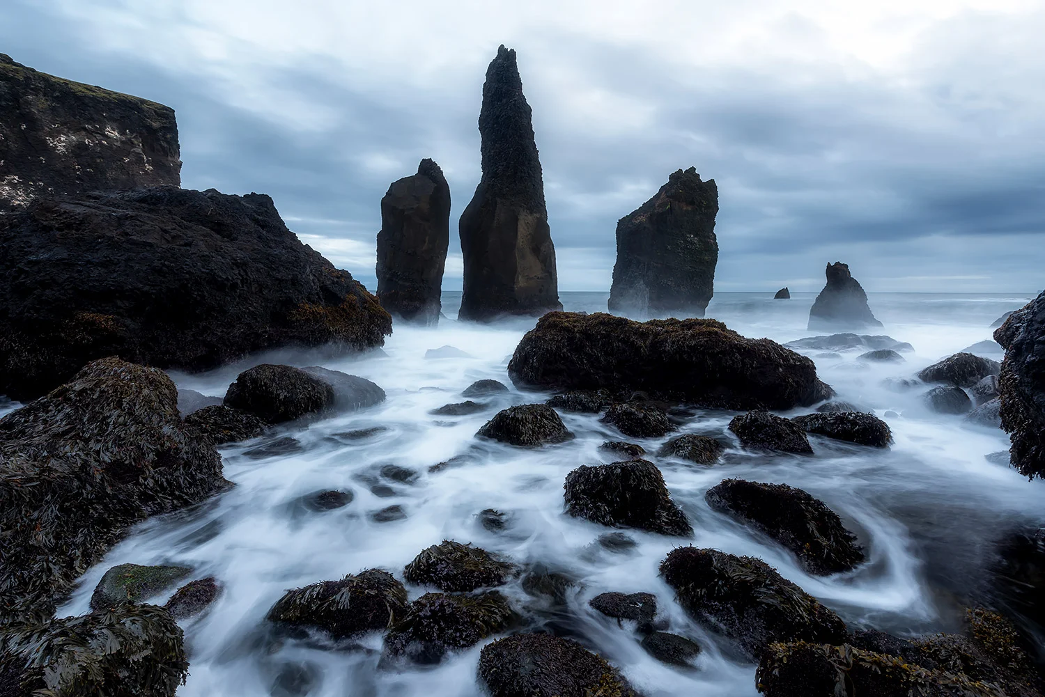 Island_Forster111.jpg