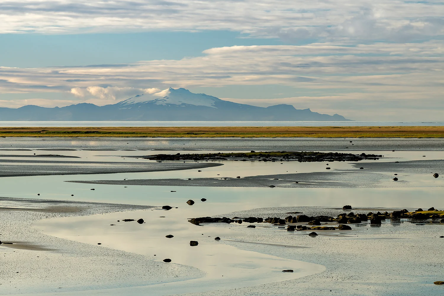 Island_Forster13.jpg
