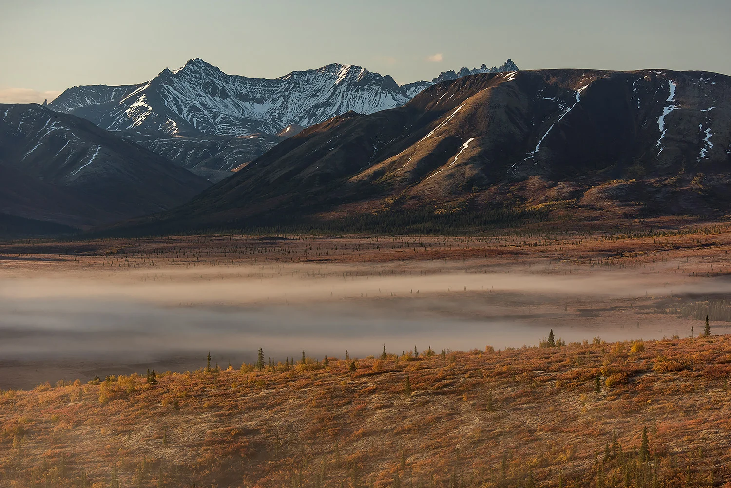 Alaska_Forster_Stefan_47.jpg