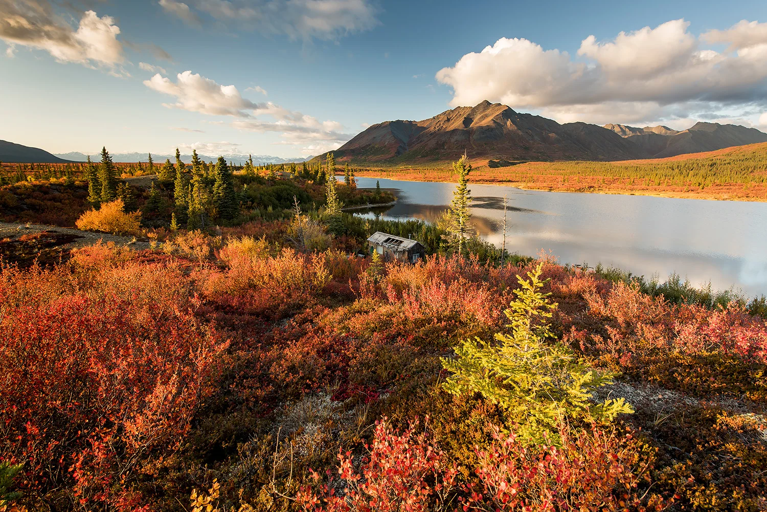 Alaska_Forster_Stefan_44.jpg