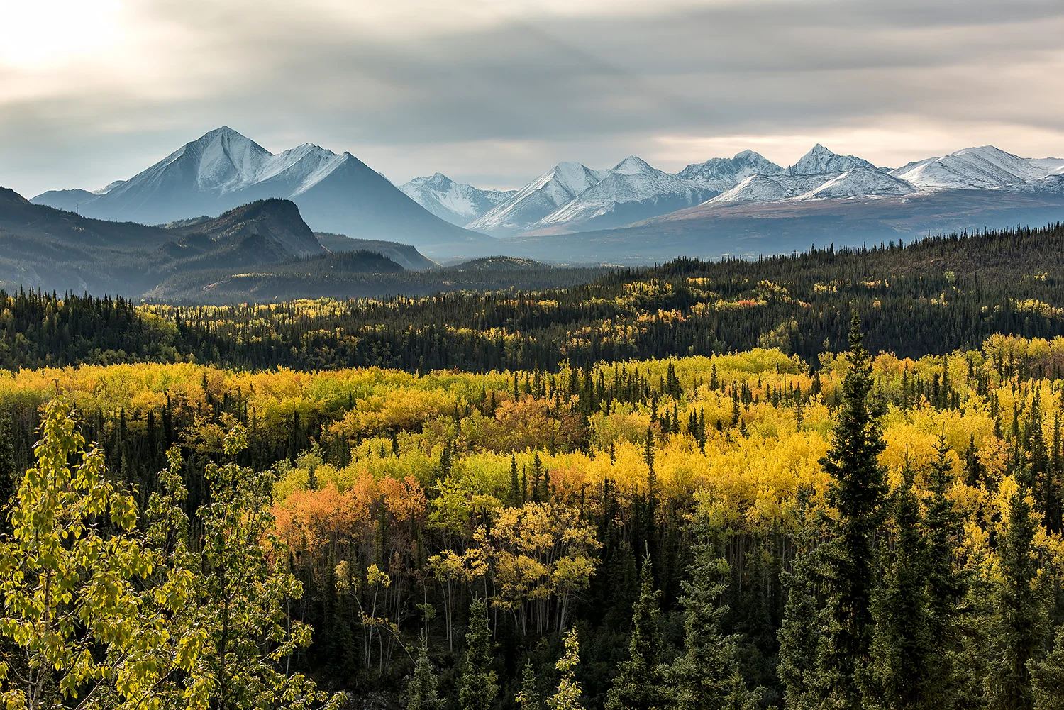 Alaska_Forster_Stefan_41.jpg