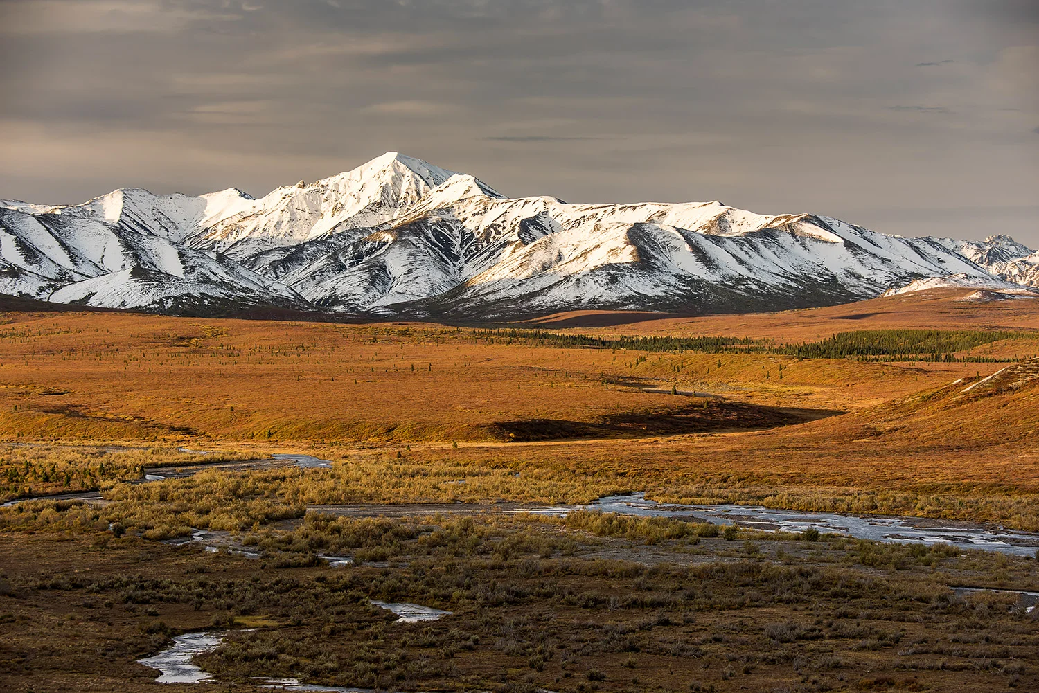 Alaska_Forster_Stefan_40.jpg