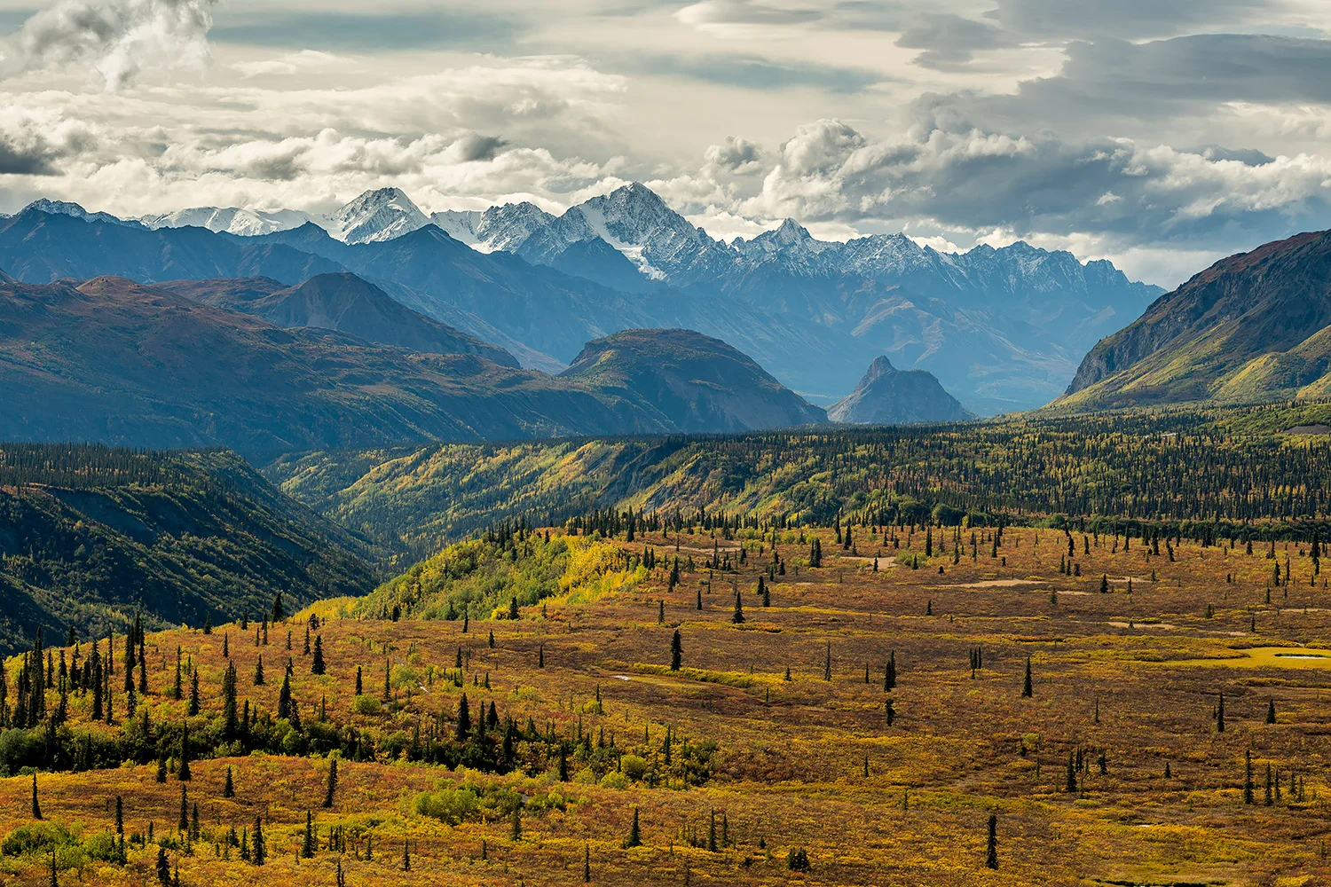 Alaska_Forster_Stefan_18.jpg