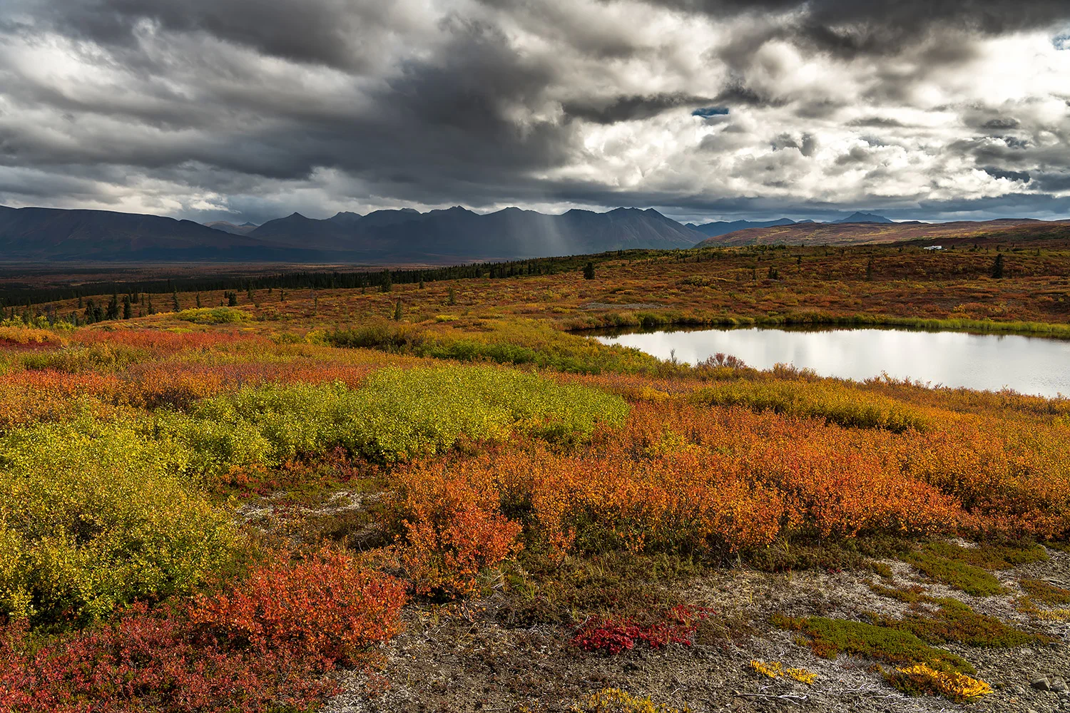 Alaska_Forster_Stefan_11.jpg