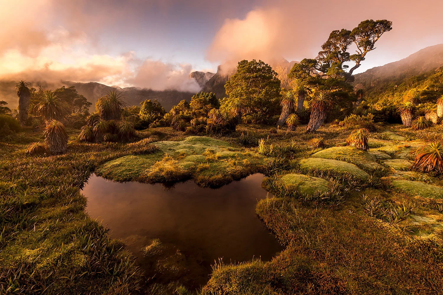 Tasmanien_StefanForster24.jpg