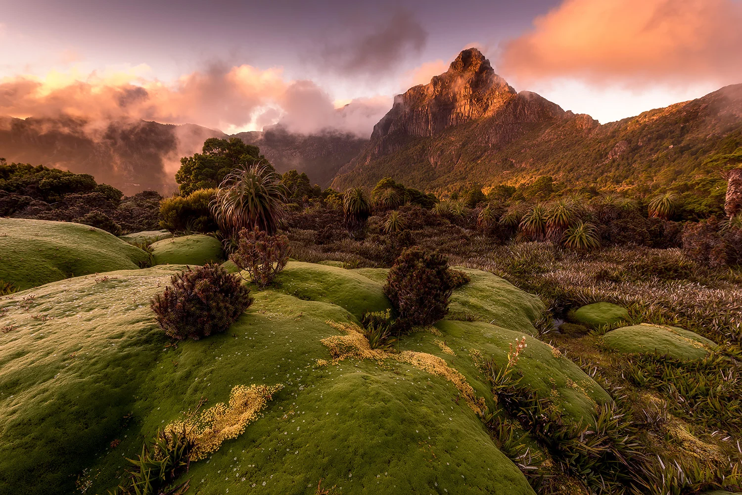 Tasmanien_StefanForster23.jpg
