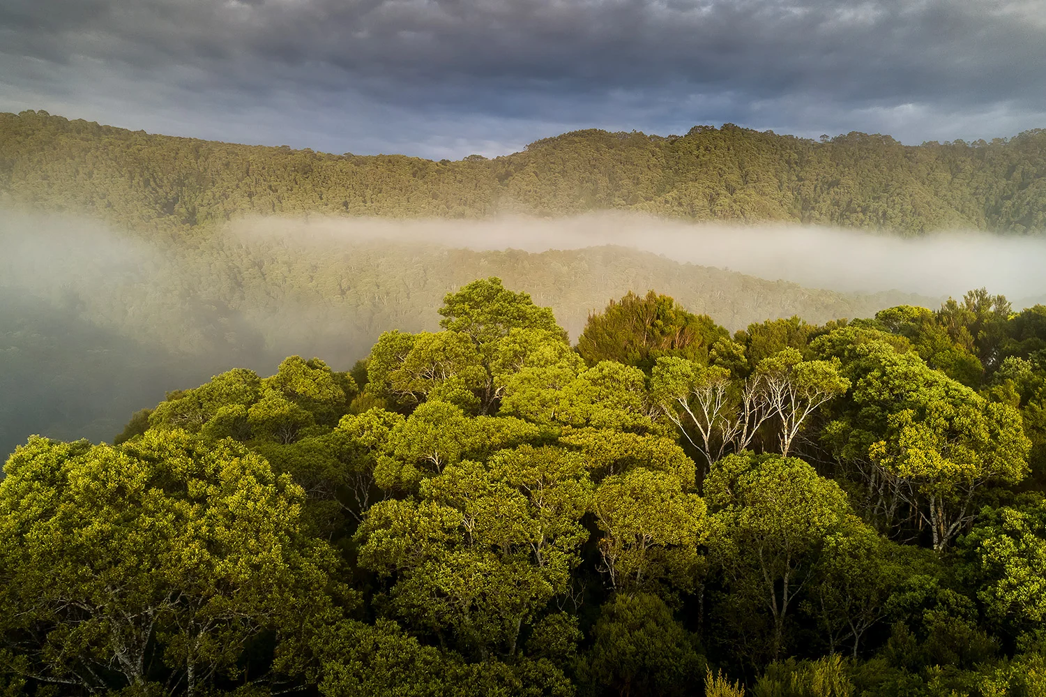 Tasmanien_StefanForster10.jpg