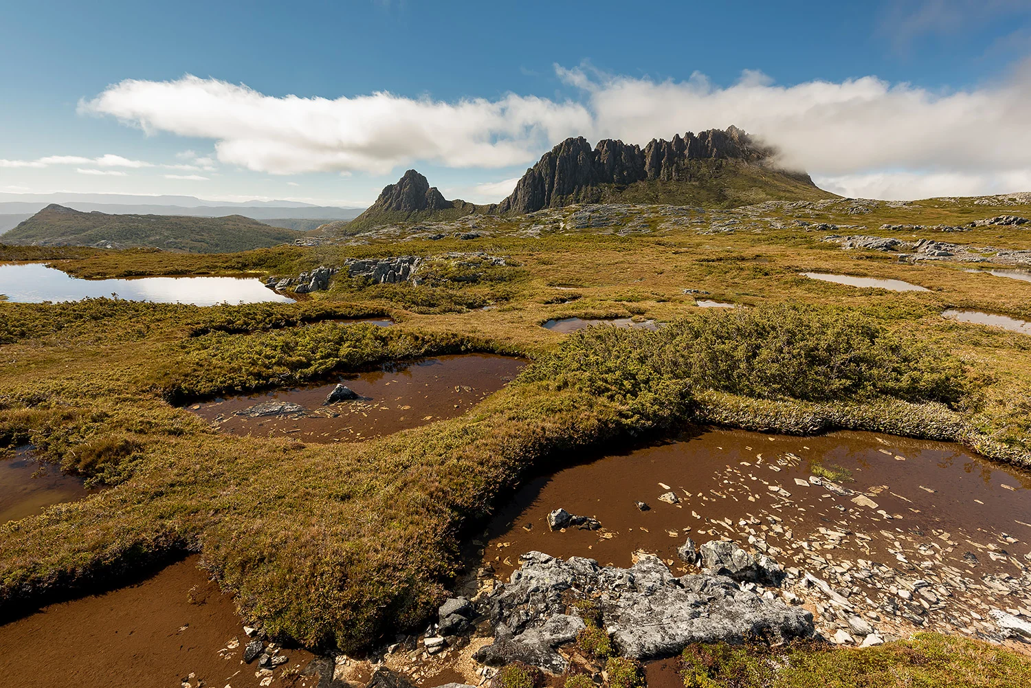 Tasmanien_StefanForster2.jpg