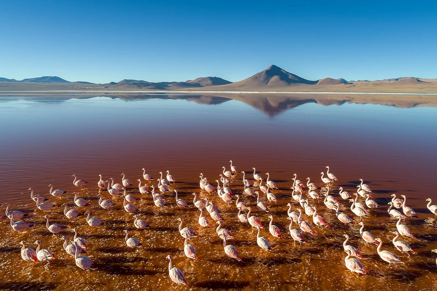 Bolivien_StefanForster28.jpg
