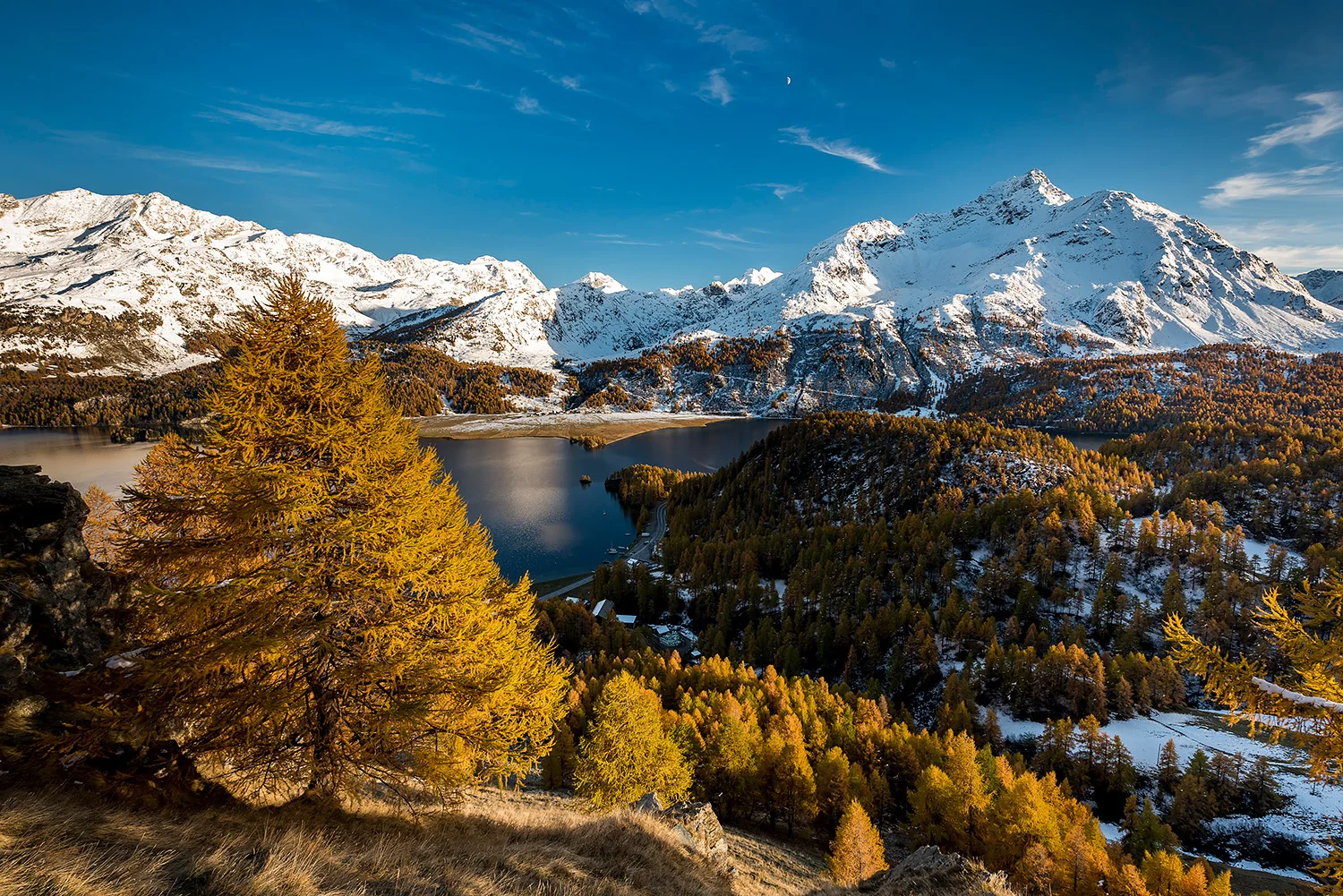 Schweiz_Stefanforster70.jpg