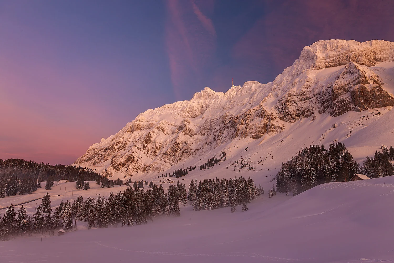 Schweiz_Stefanforster18.jpg