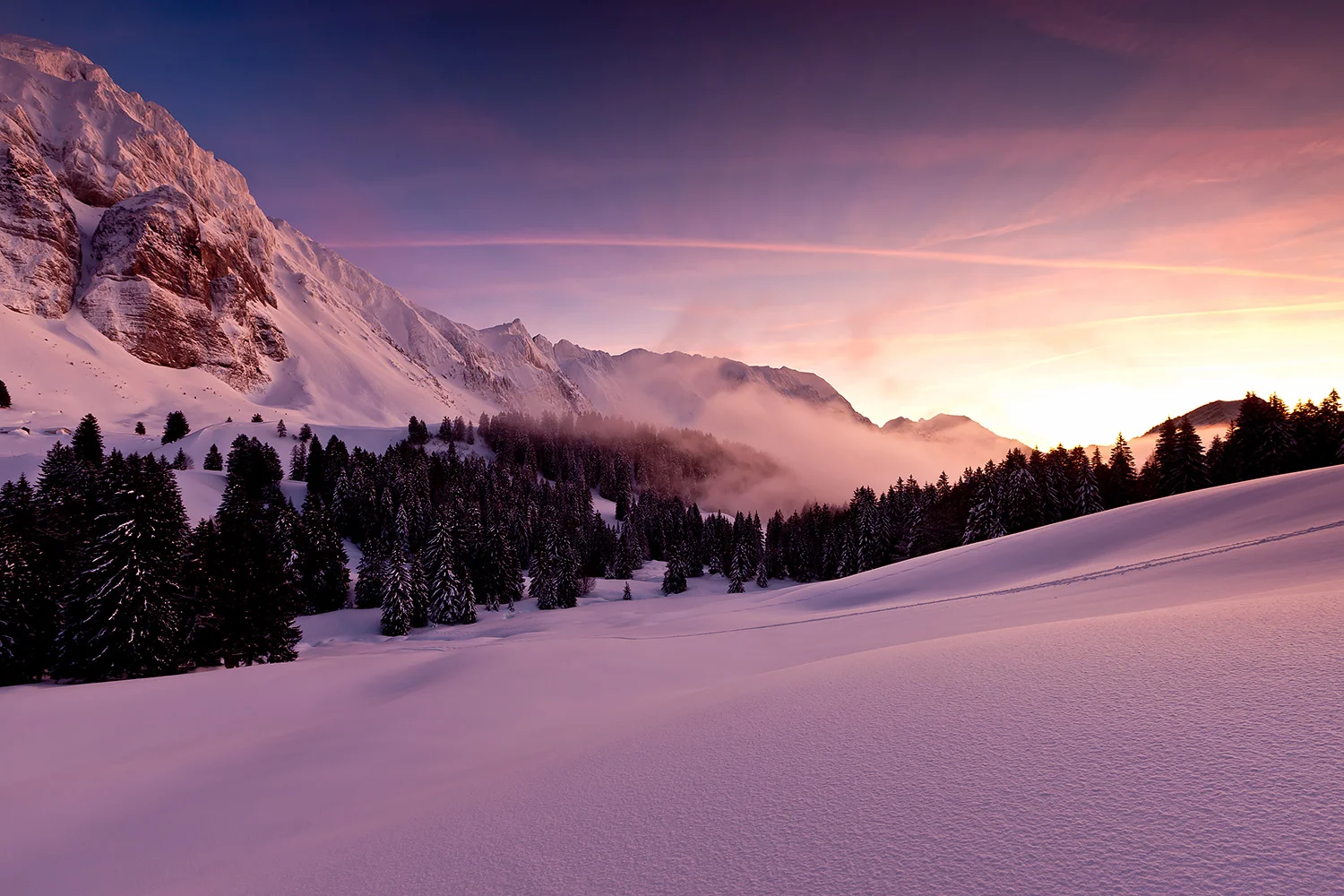 Schweiz_Stefanforster19.jpg