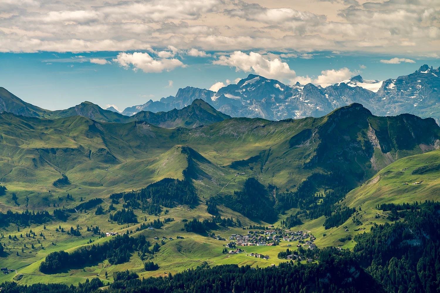 Schweiz_Stefanforster2.jpg