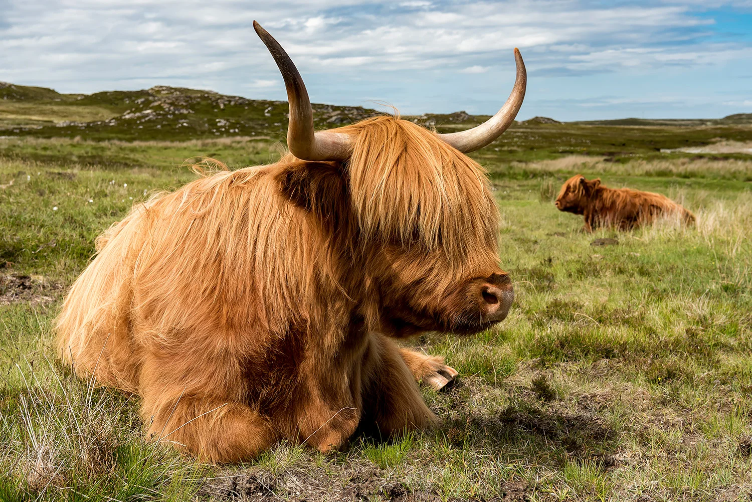 Tiere_StefanForster_81.jpg