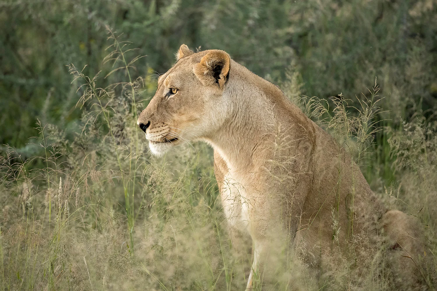 Namibia_StefanForster_7.jpg