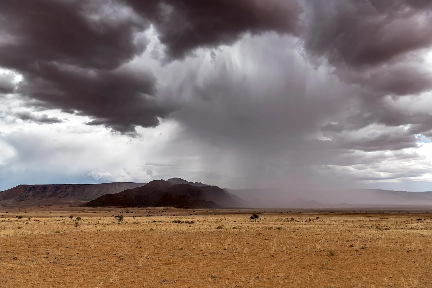 Namibia_StefanForster_14.jpg