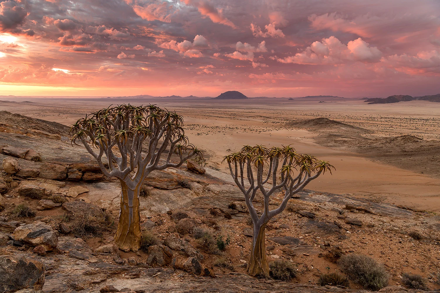 Namibia_StefanForster_16.jpg
