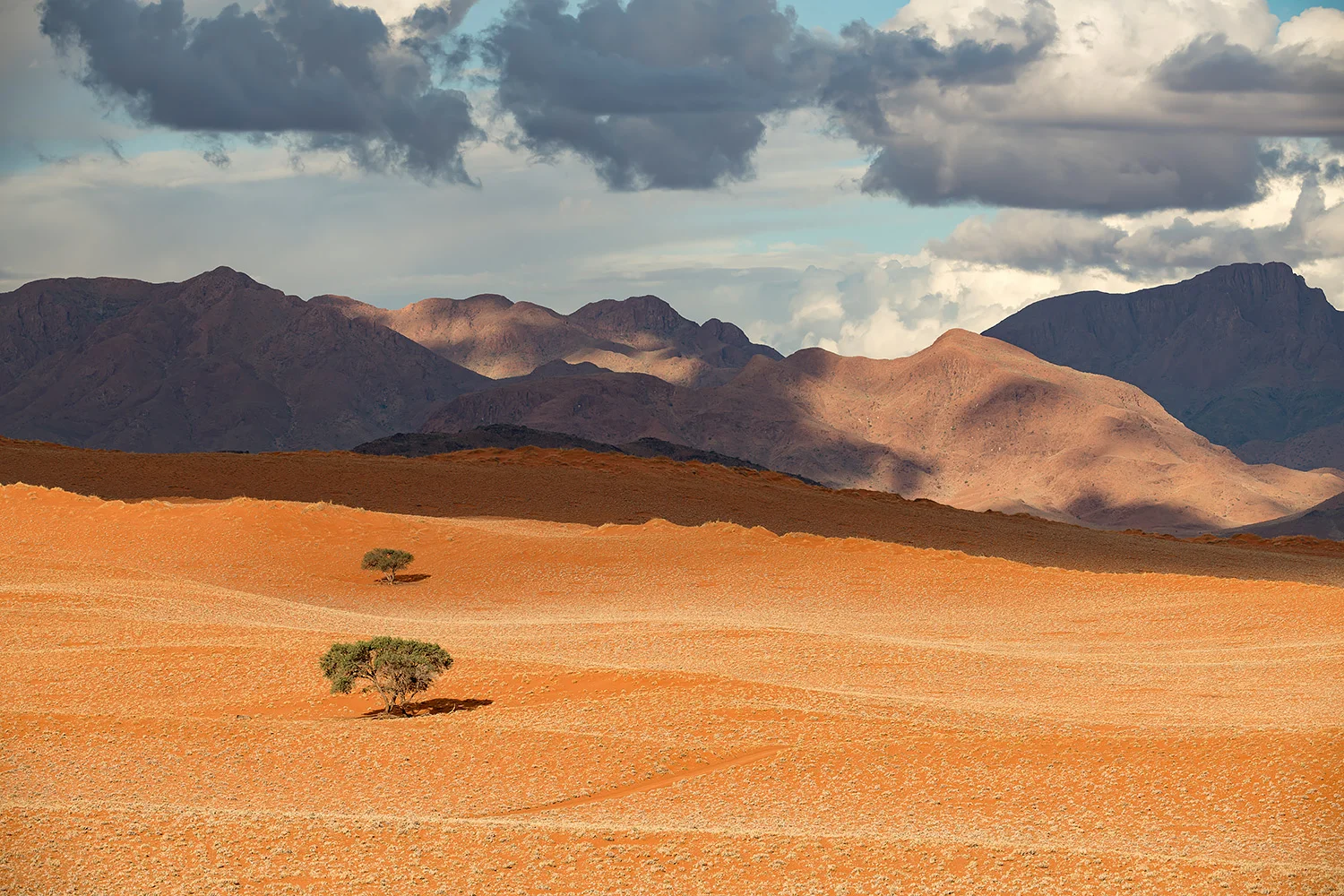 Namibia_StefanForster_17.jpg