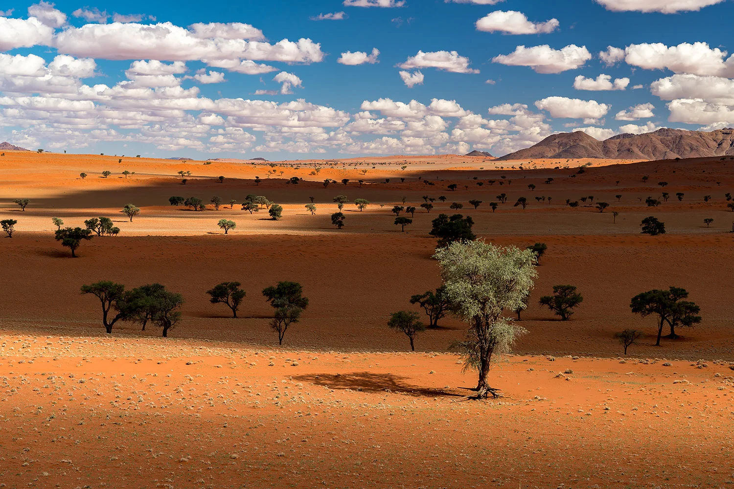 Namibia_StefanForster_20.jpg