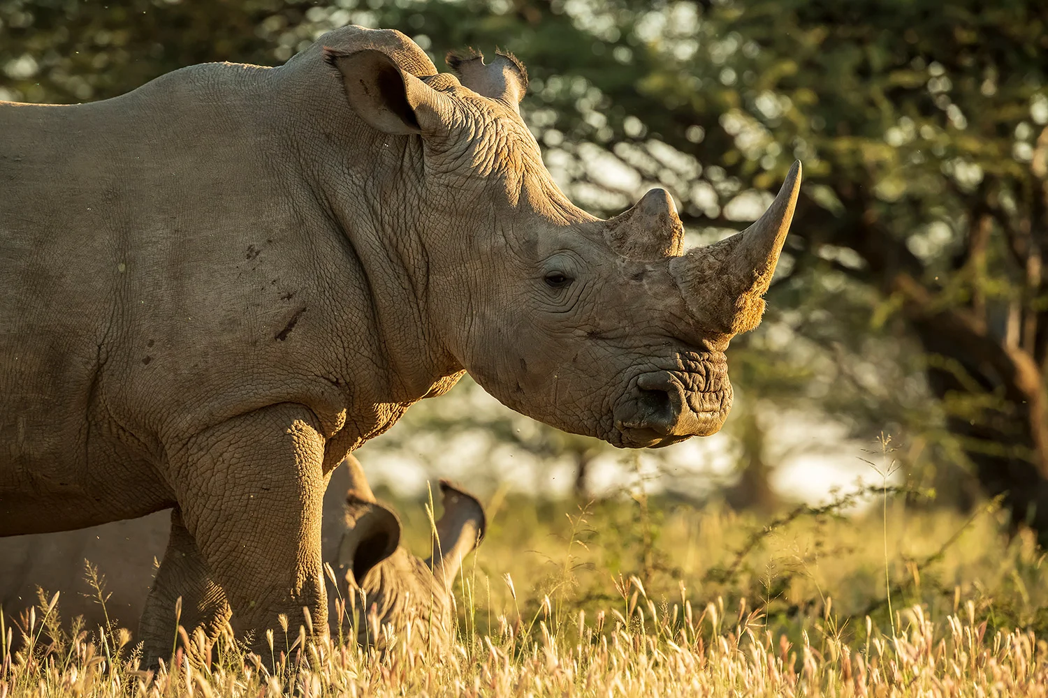 Namibia_StefanForster_29.jpg