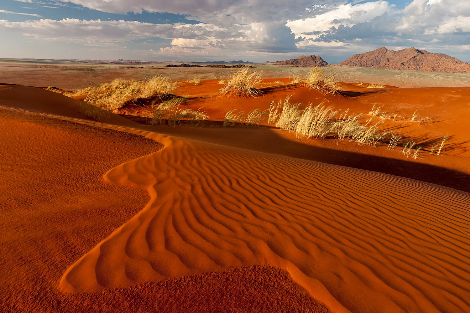 Namibia_StefanForster_33.jpg