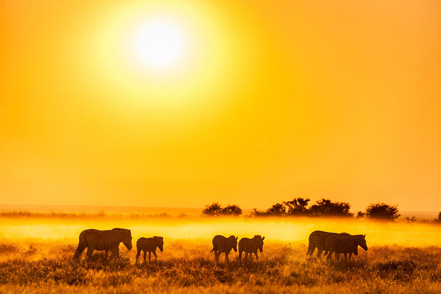 Namibia_StefanForster_34.jpg