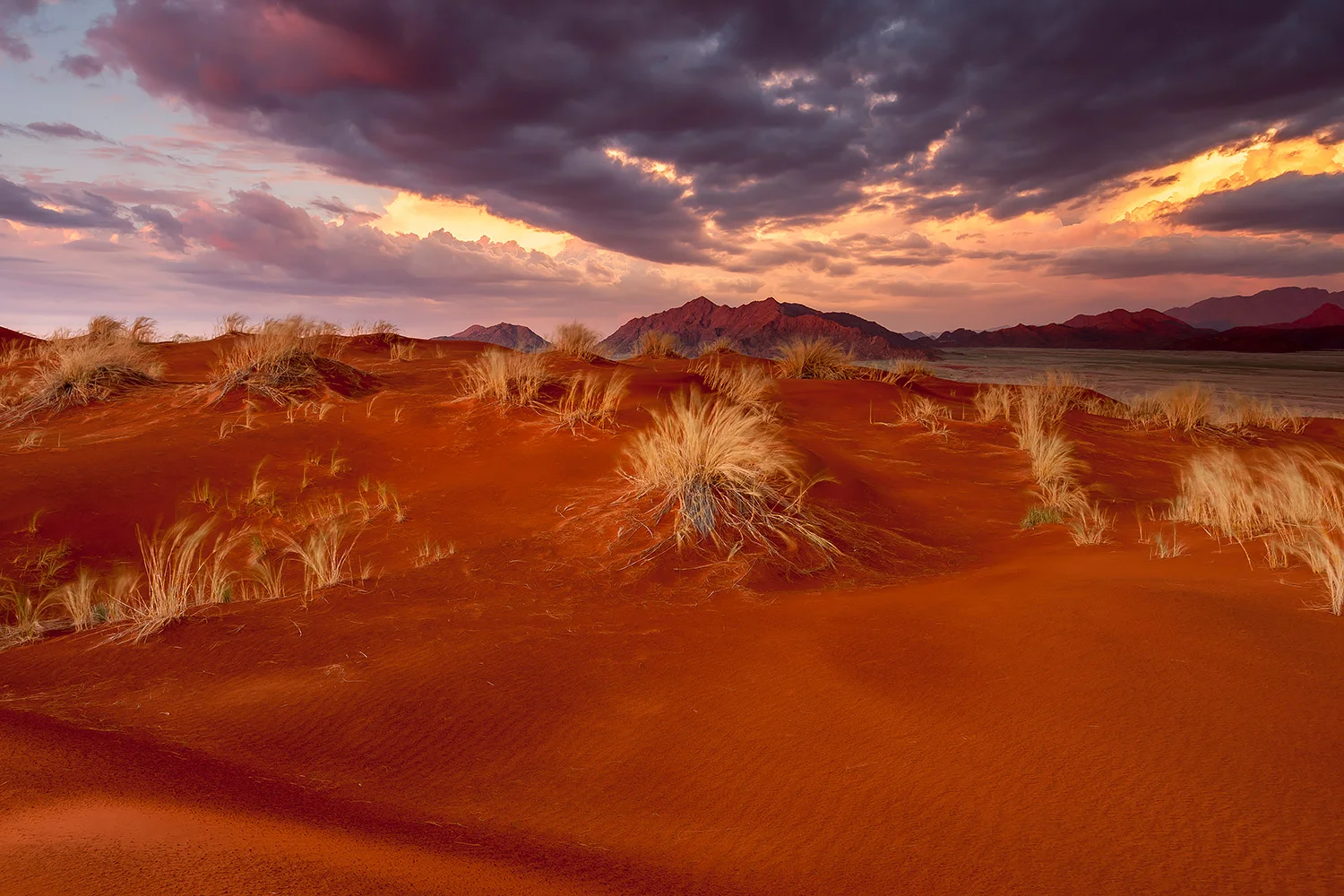 Namibia_StefanForster_42.jpg