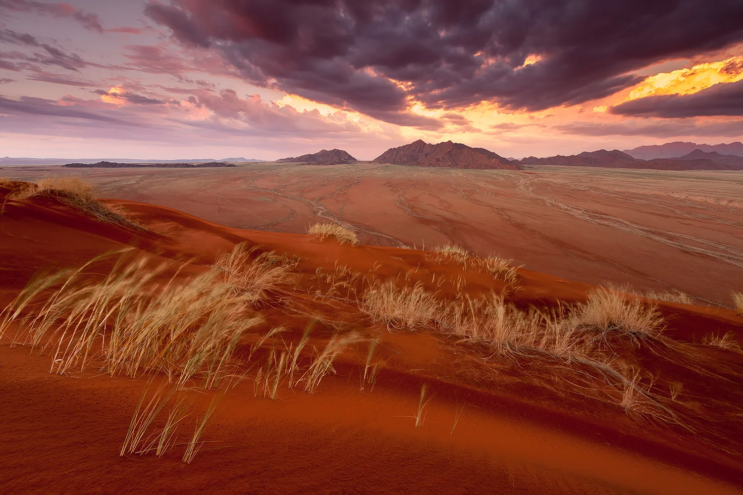Namibia_StefanForster_43.jpg