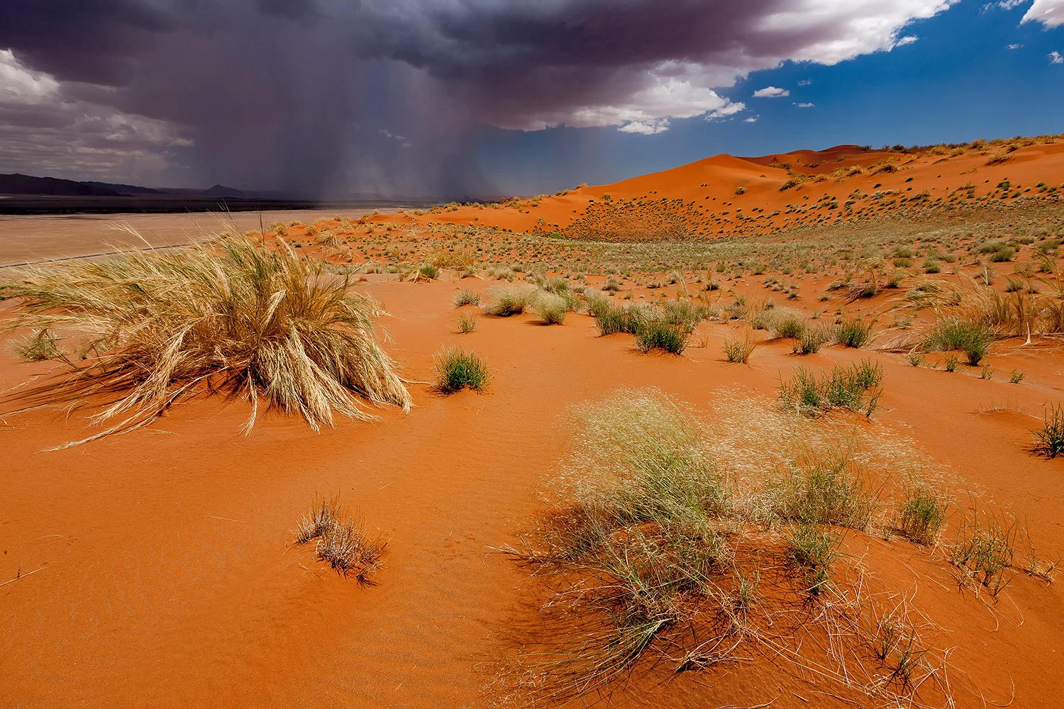 Namibia_StefanForster_52.jpg