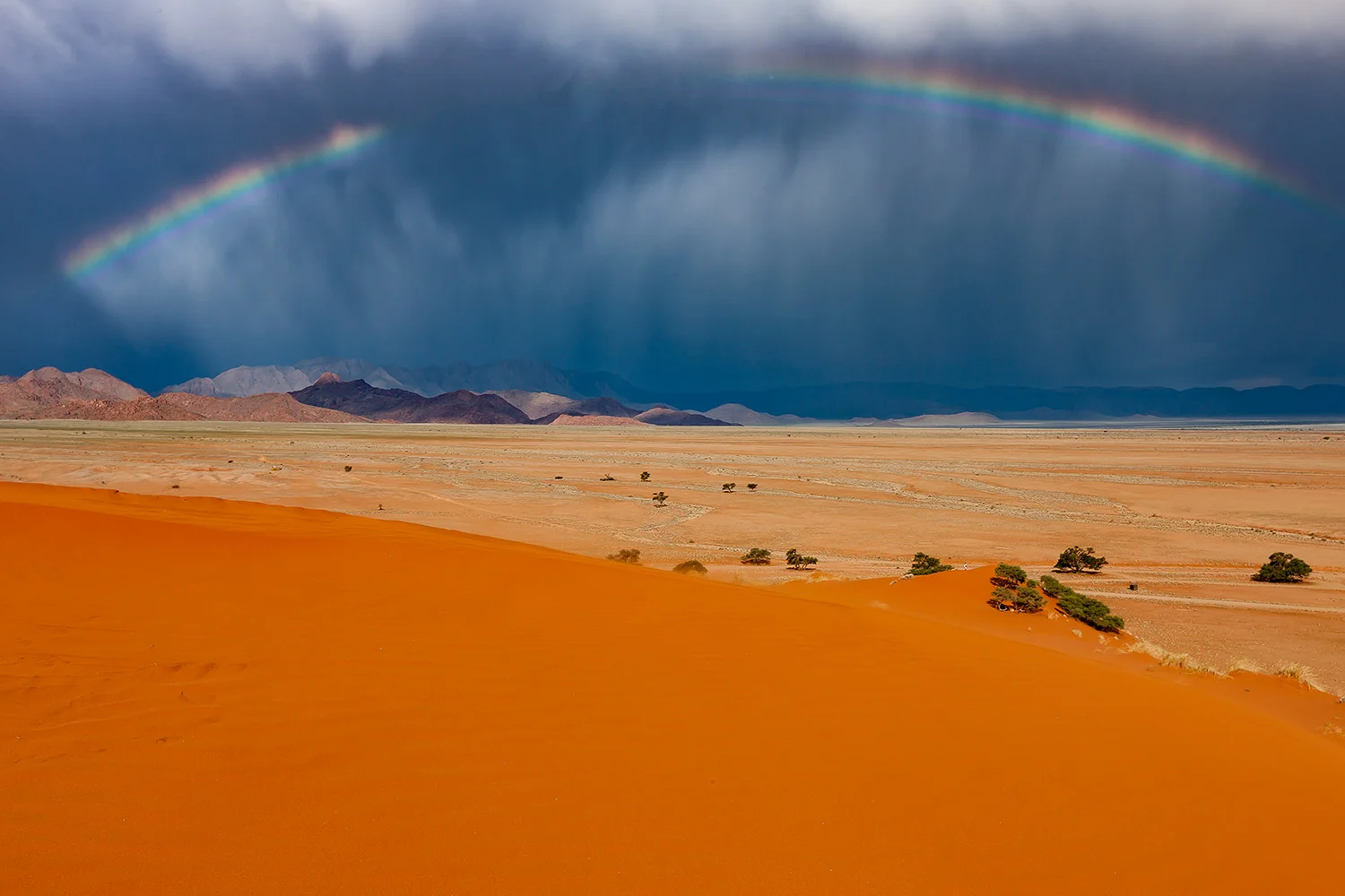 Namibia_StefanForster_54.jpg
