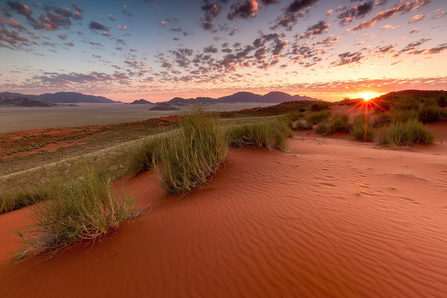 Namibia_StefanForster_73.jpg