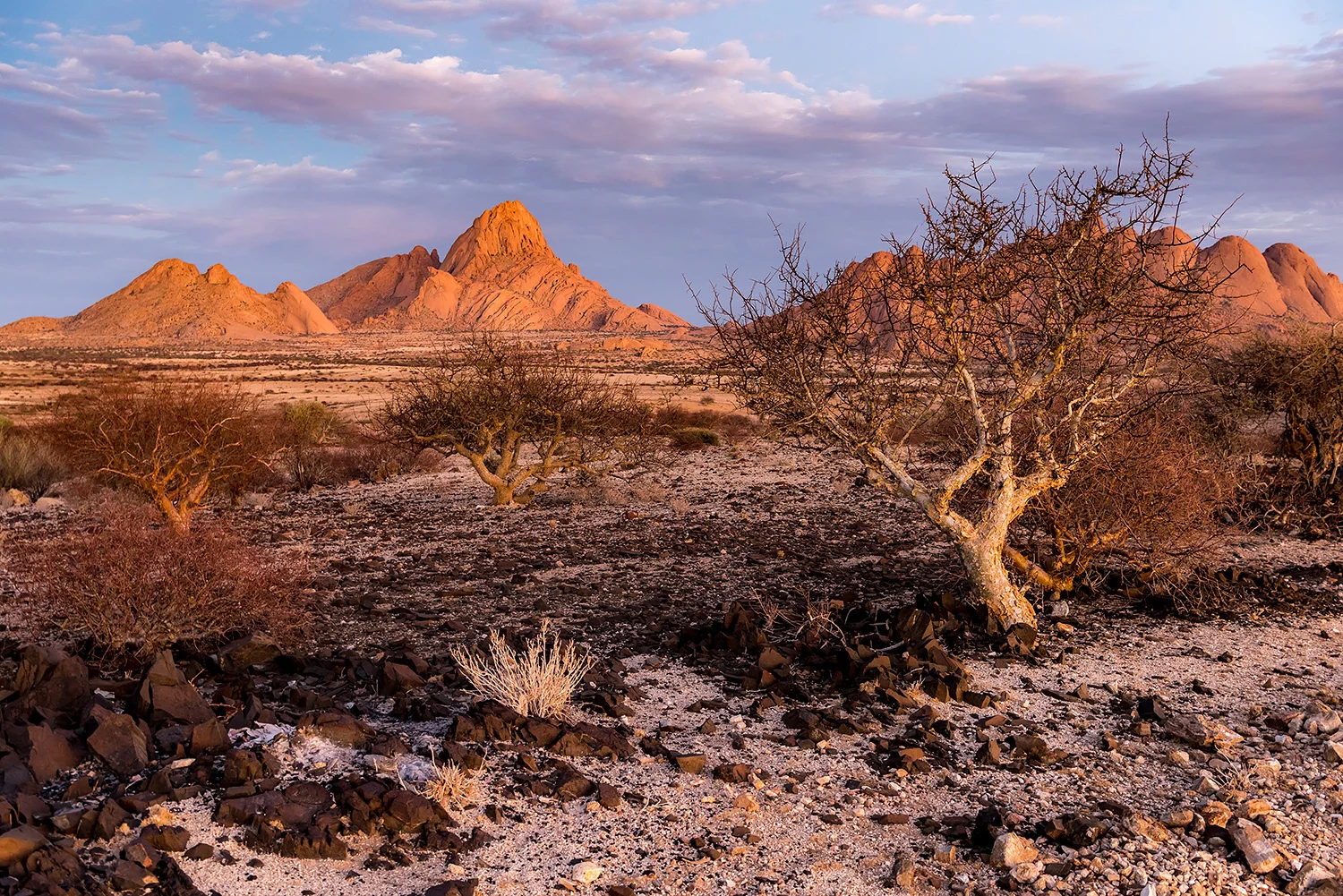 Namibia_StefanForster_83.jpg