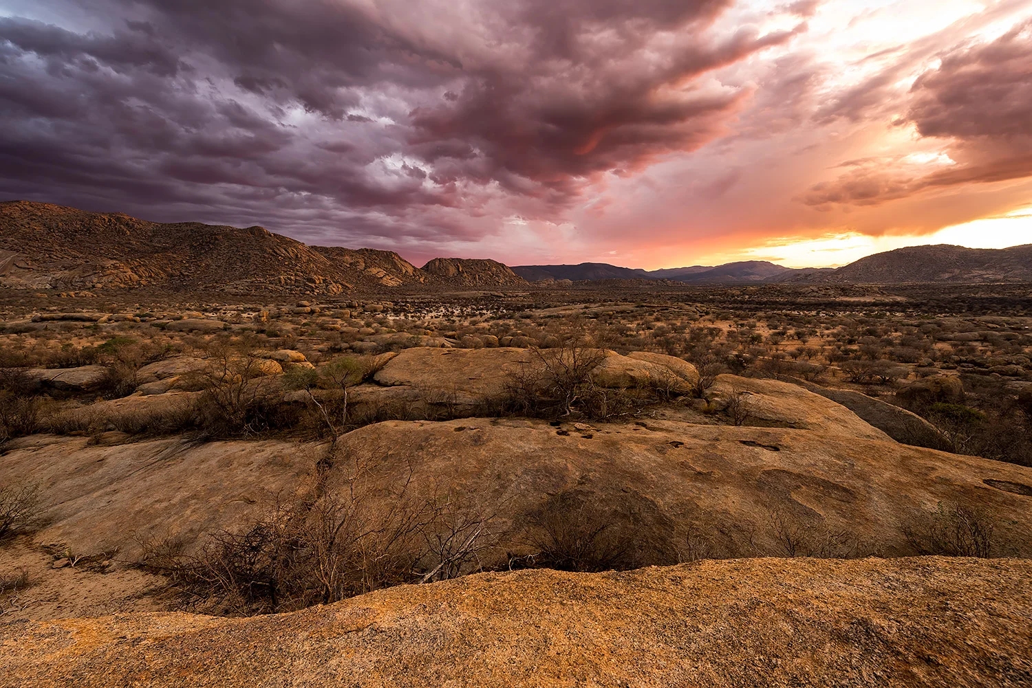Namibia_StefanForster_87.jpg