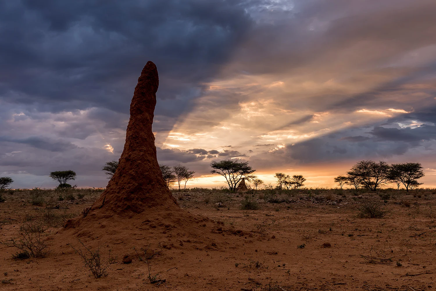 Namibia_StefanForster_92.jpg