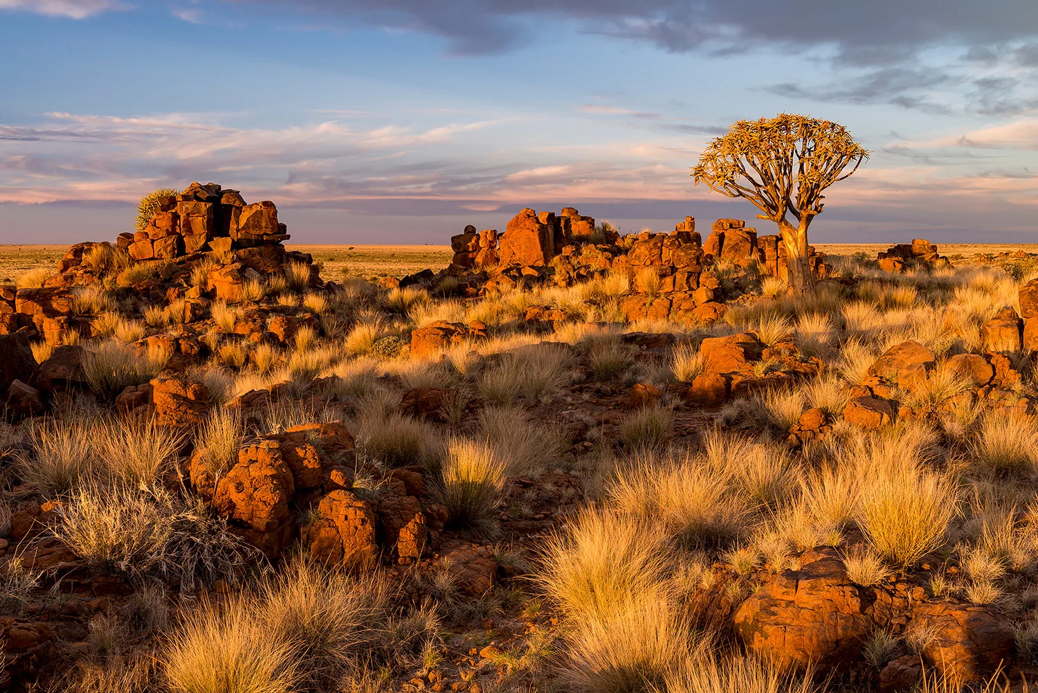 Namibia_StefanForster_97.jpg
