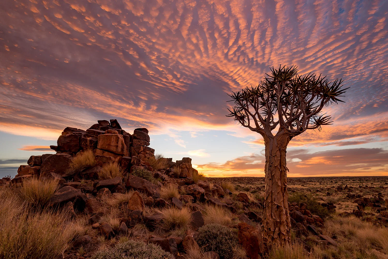Namibia_StefanForster_98.jpg