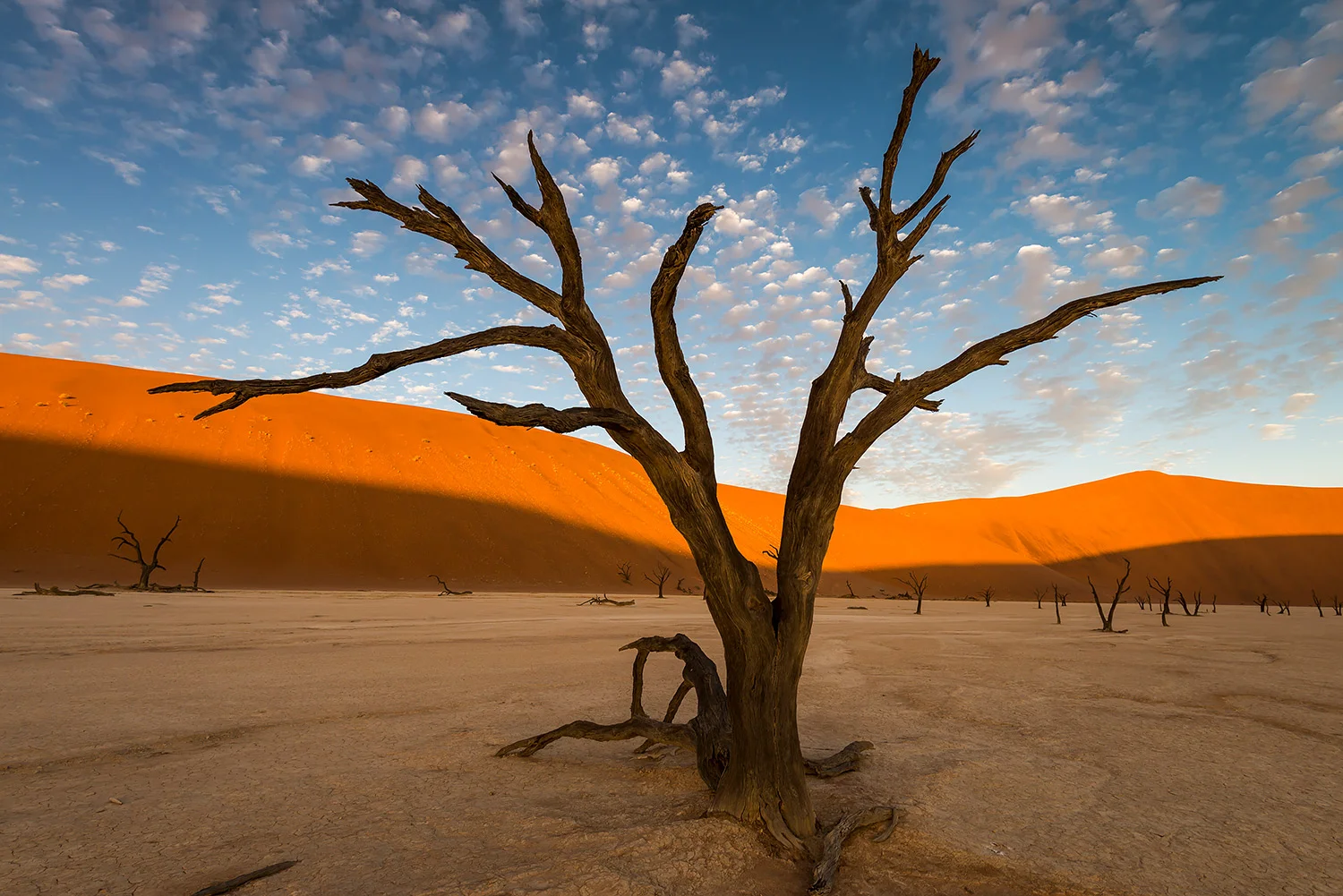 Namibia_StefanForster_104.jpg
