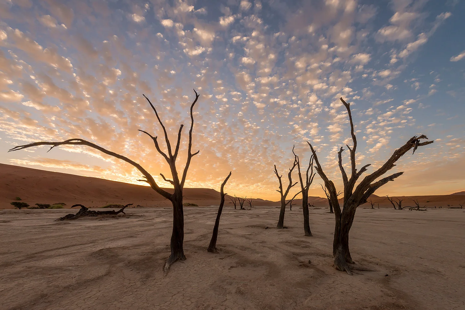 Namibia_StefanForster_106.jpg