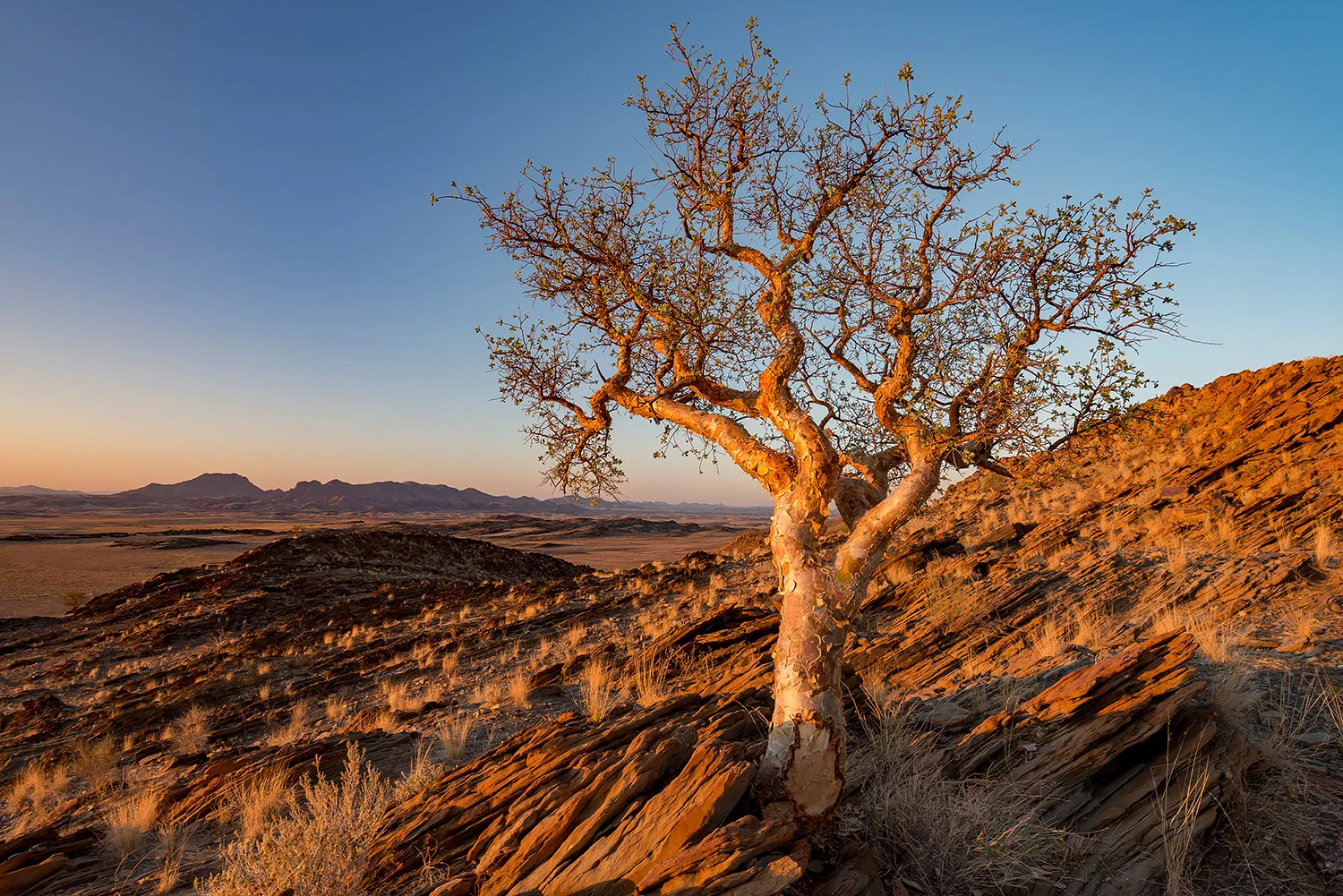 Namibia_StefanForster_108.jpg